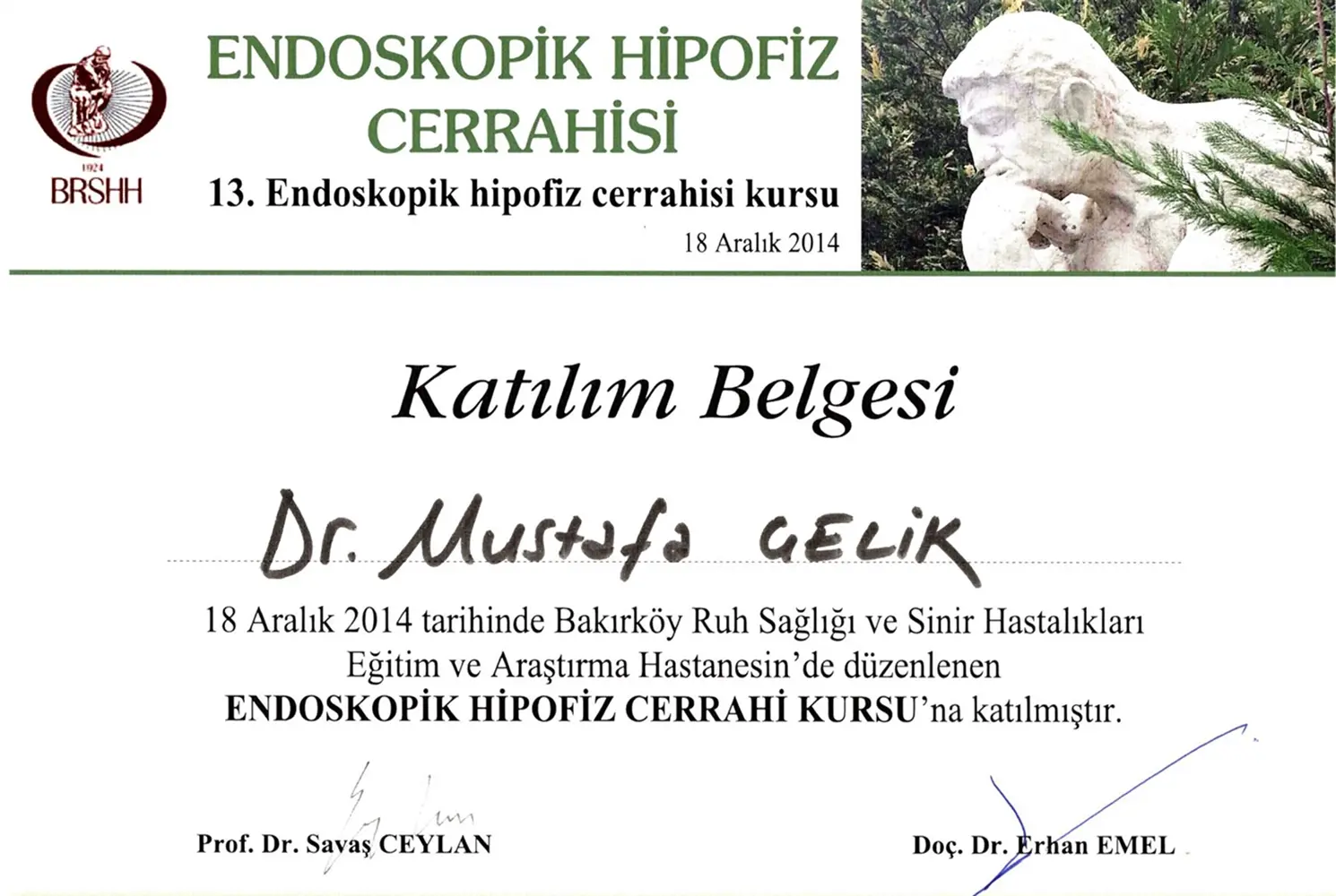 Endoscopic Pituitary Surgery Course (2014)