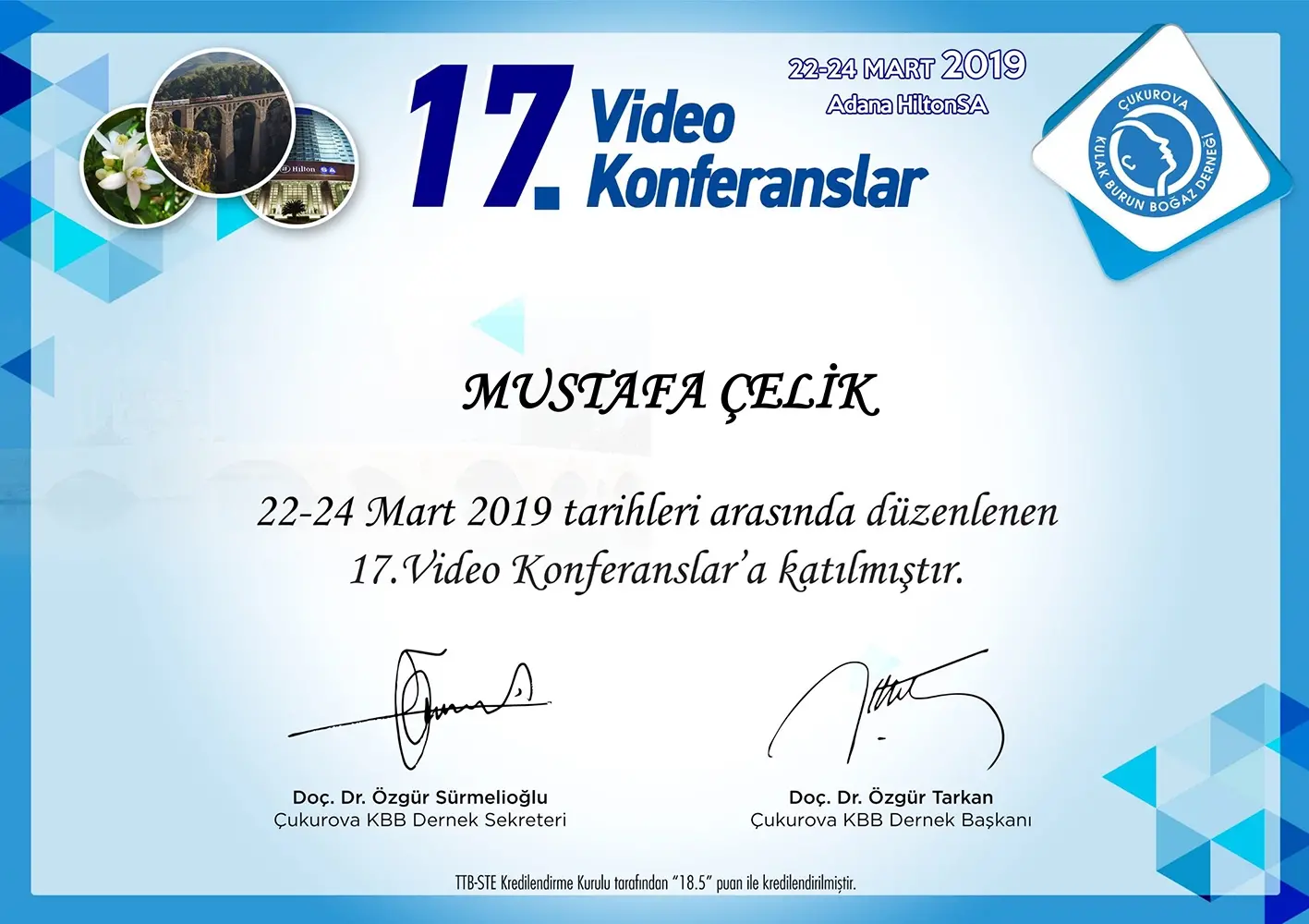 17th Video Conferences – ENT Surgical Education (2019)
