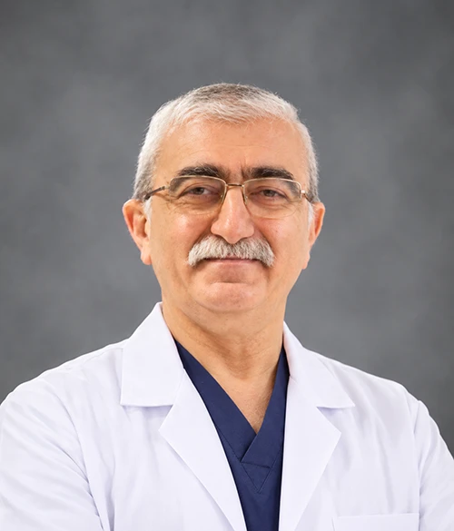 Prof. Bingür Sönmez