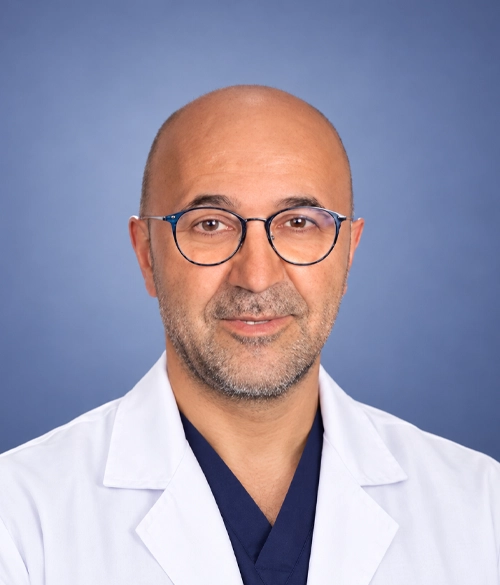 Javad Parvizi