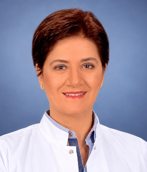 Nazan Bengüdeniz Erda