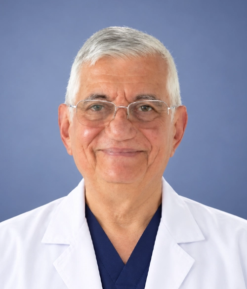 Profesor Ali Biçimoğlu