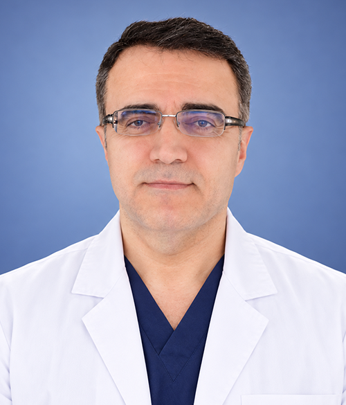 Profesor İbrahim Azboy