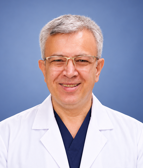 Profesor Namık Özkan