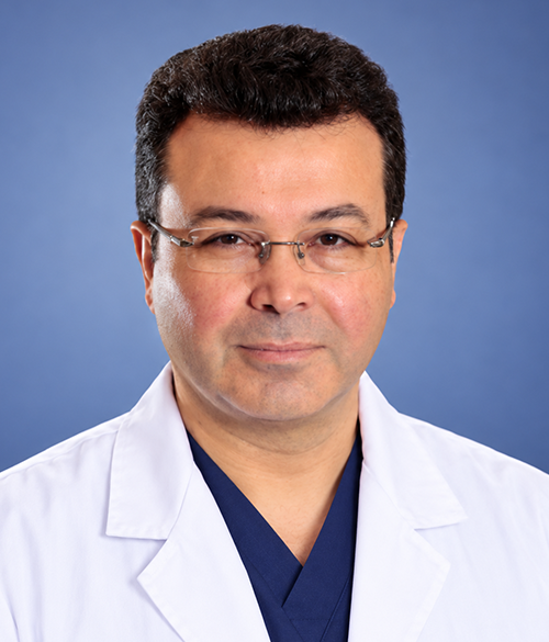 Prof. Ercan Karacaoğlu