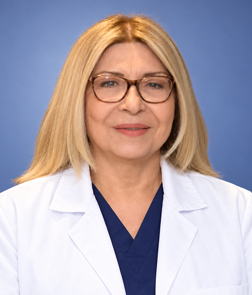 Profesor Dilek Erkan