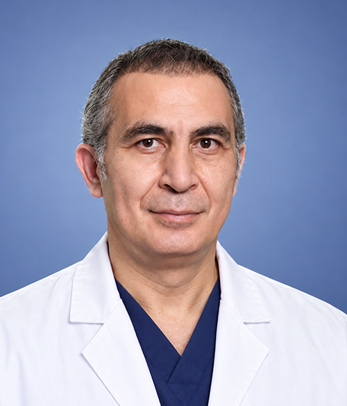 Prof. Dr. Volkan Özben
