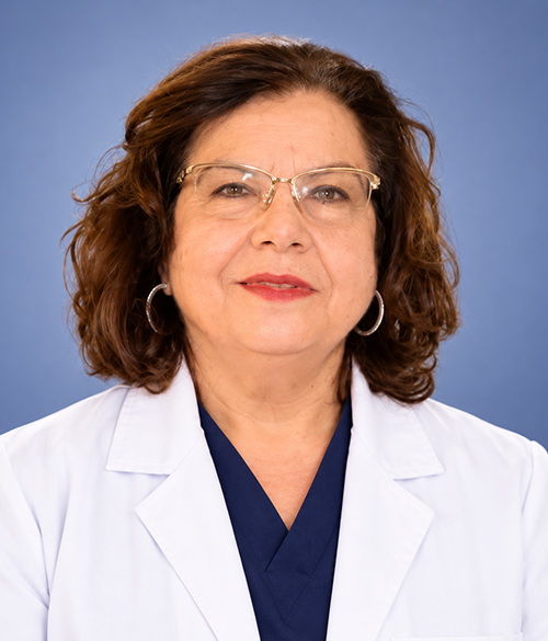 Prof. Dr. Oya Ercan