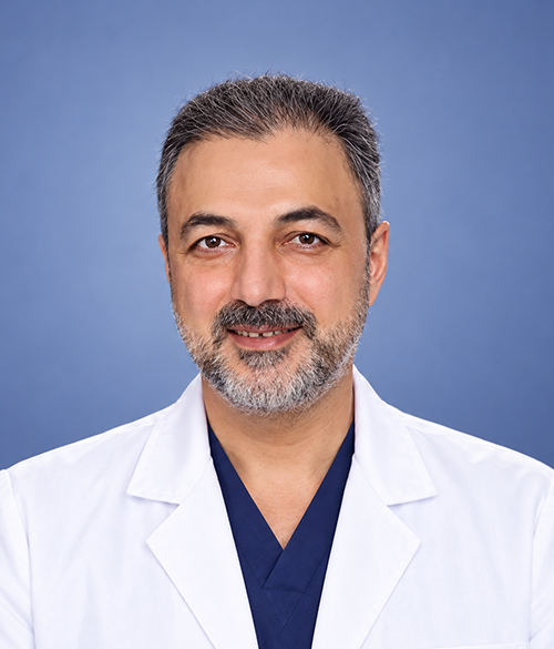 Prof. Dr. Mahmut Çivilibal
