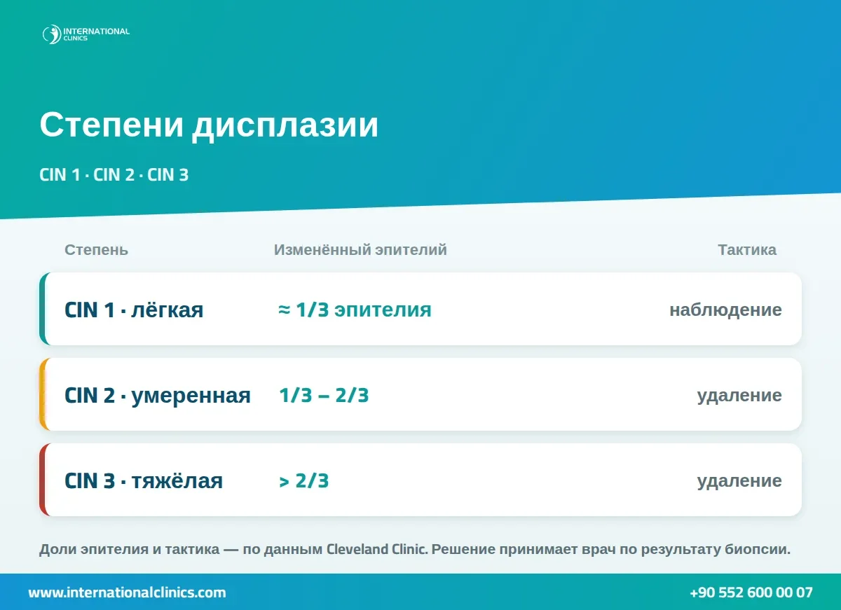 Инфографика: степени дисплазии шейки матки CIN 1, CIN 2 и CIN 3 и тактика врача