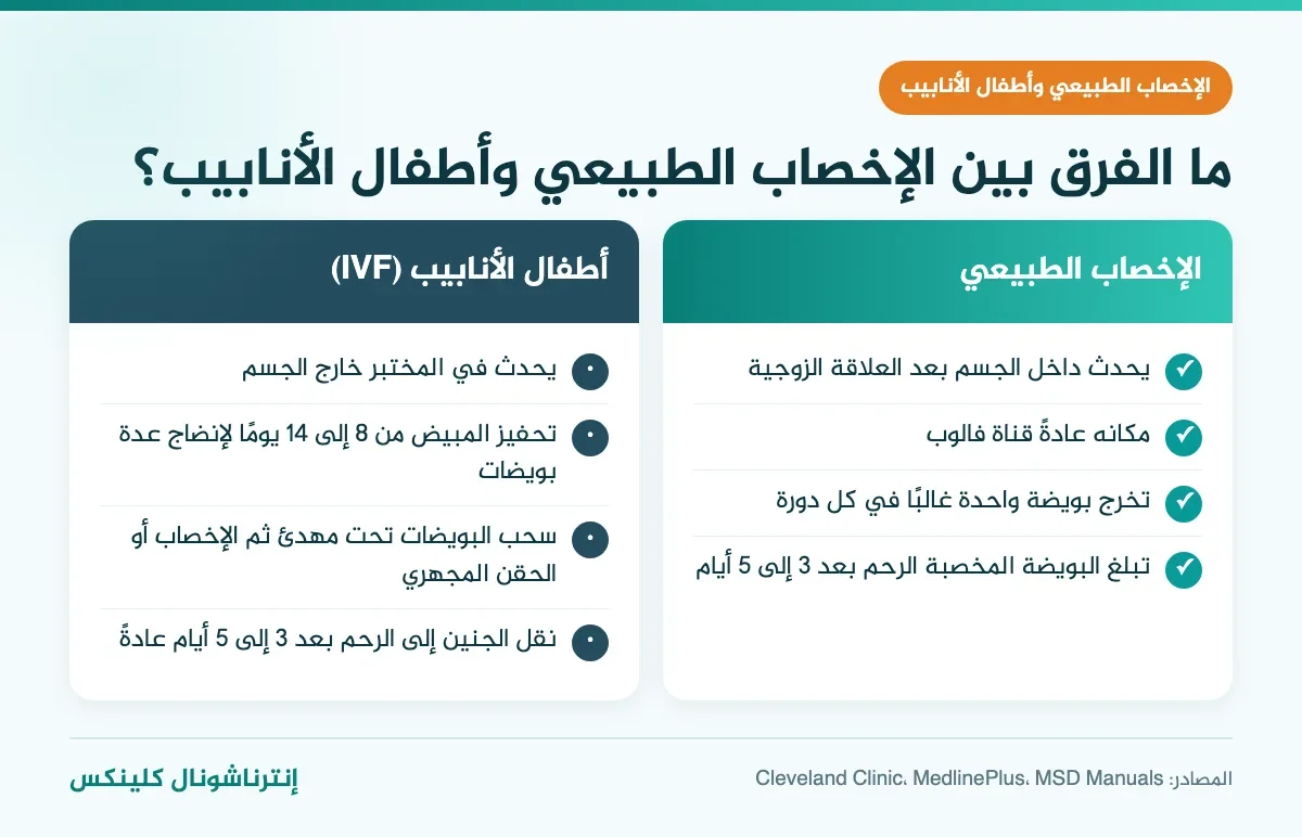 مقارنة بين الإخصاب الطبيعي في قناة فالوب والإخصاب في المختبر بأطفال الأنابيب