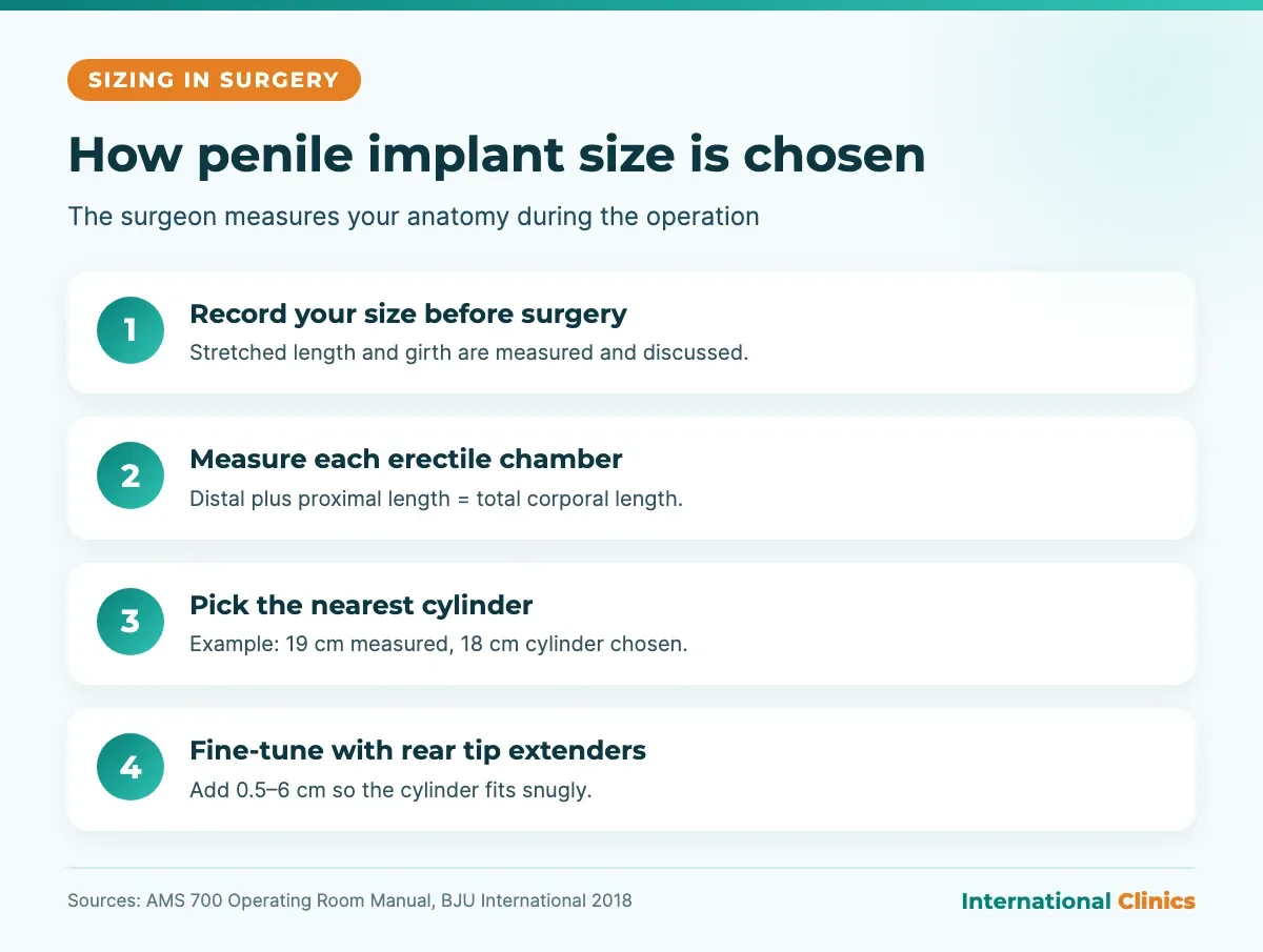 Steps infographic showing how penile implant size is determined: measuring the corpora, choosing the cylinder length and adding rear tip extenders