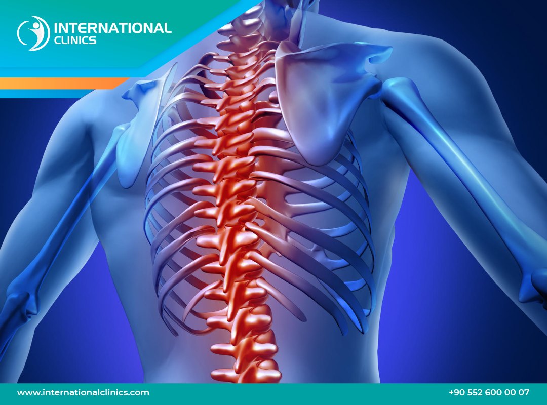 فقرات الظهر: التشريح، الأمراض، والعلاج في تركيا