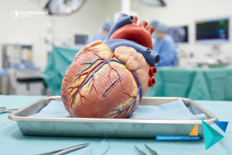 Modelo anatómico 3D detallado que muestra una reparación quirúrgica exitosa de una Cardiopatía congénita en International Clinics.