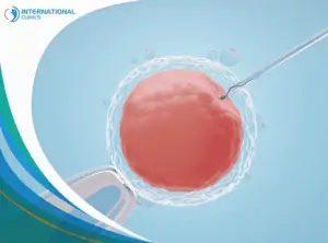 fertilization عملية طفل الأنابيب