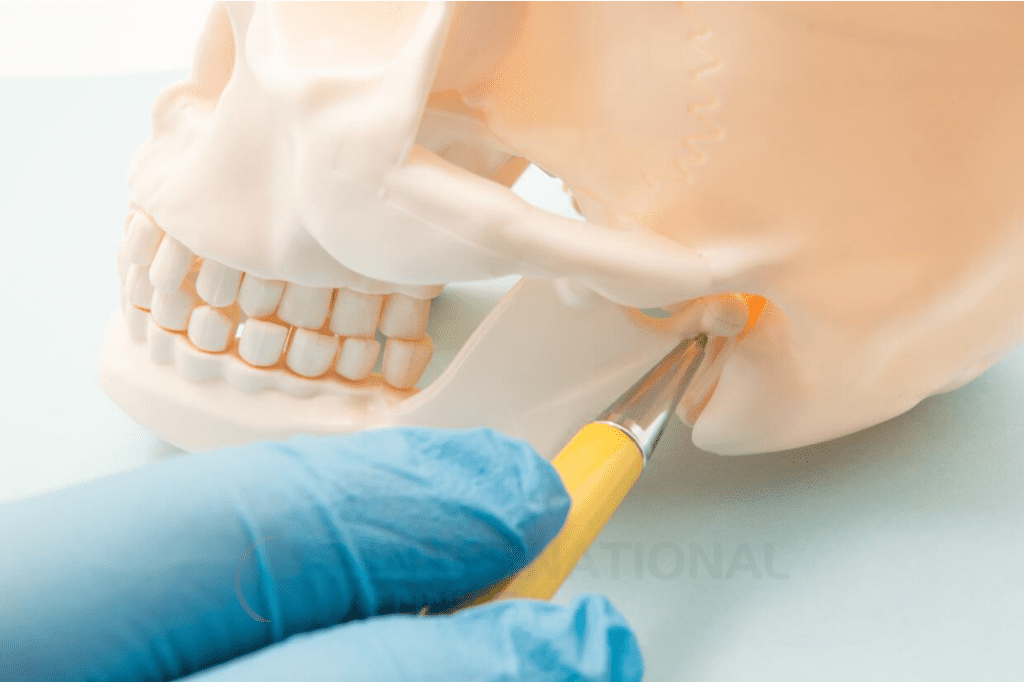 جراحة الفم والفكين نوع خاص من طب الأسنان
