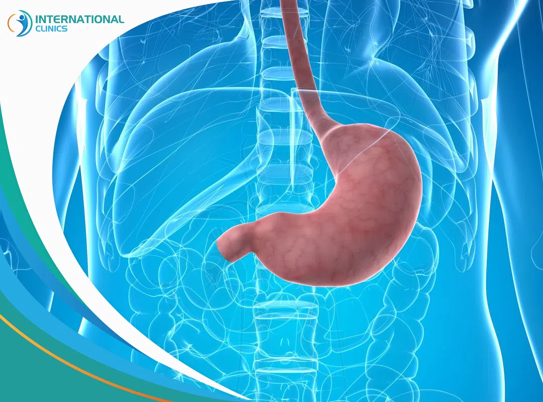 Understanding Gastric Sleeve Surgery Costs: A Comprehensive price guide