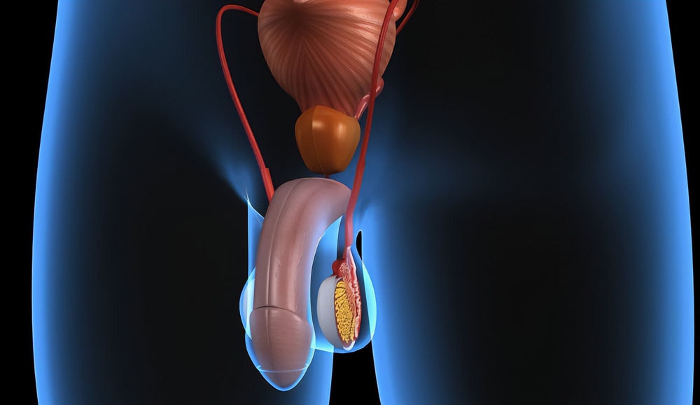 عمليات تجميل القضيب